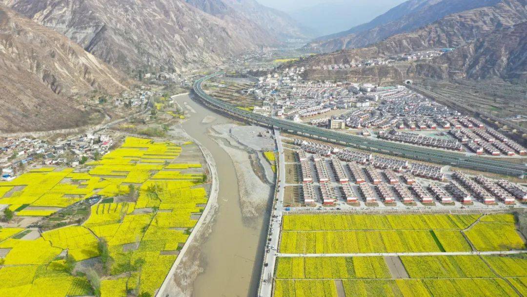 火车穿过油菜花海春日里的陇南太美了