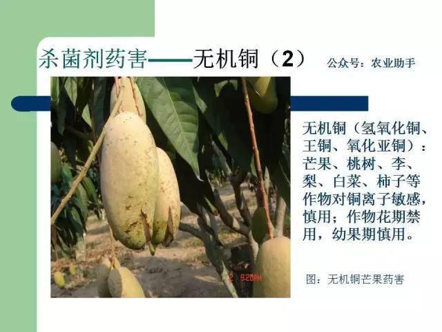 毒死蜱,氟铃脲,快螨特,噻唑膦,三唑磷,杀虫单,辛硫磷,溴氰菊酯,灭多威