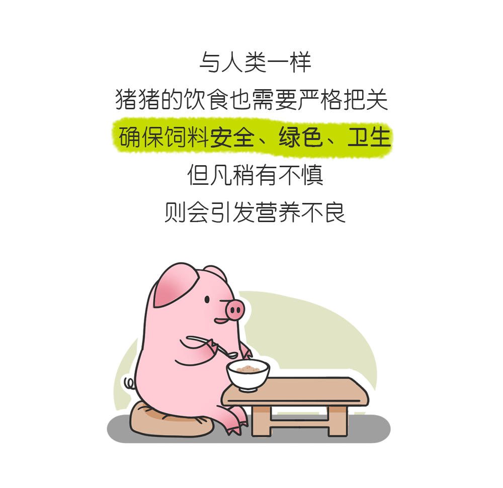 猪饲料图片搞笑表情包图片