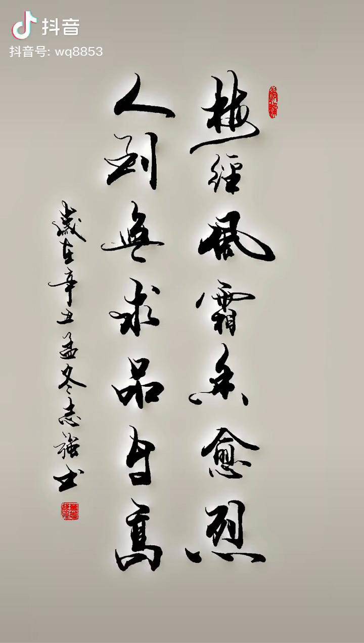 梅经风霜香愈烈人到无求品自高