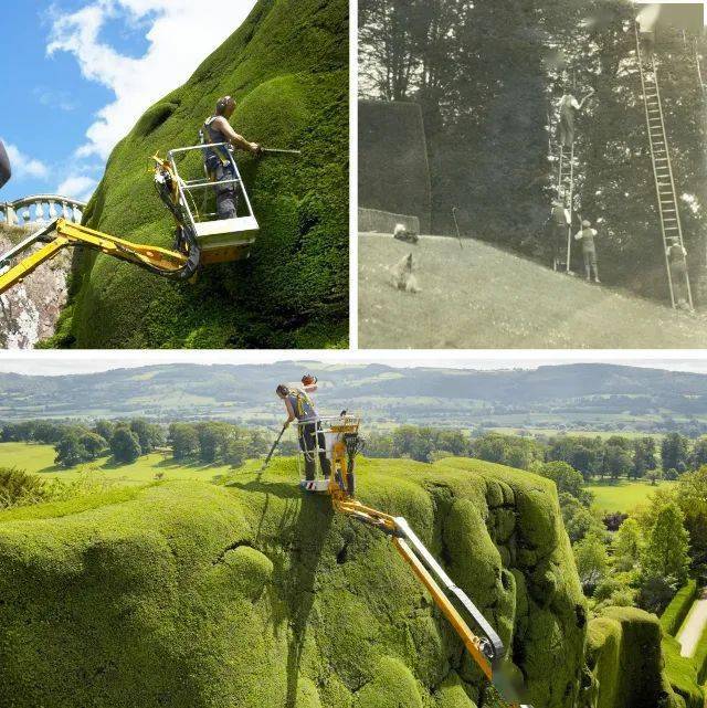 的修剪艺术吸引游客虽然花园里的这些表情雕塑是让人难忘的但是这无