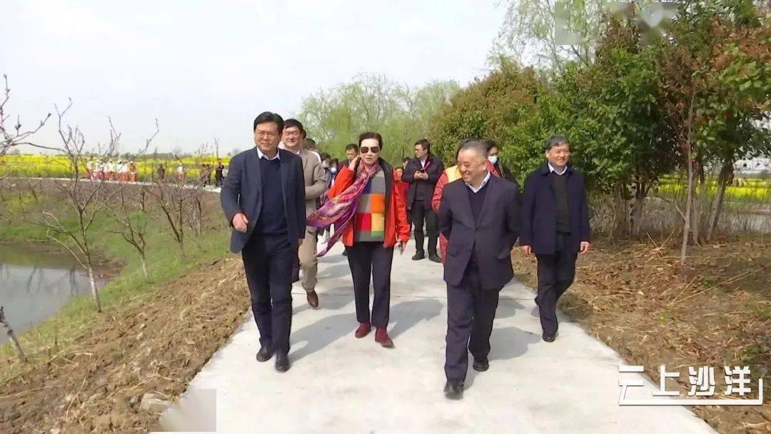 格林美股份有限公司董事长许开华一行来沙洋观光考察_曾集镇_合作