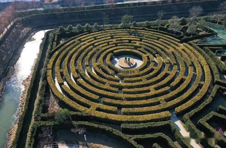 盐城旅游年卡 大丰梦幻迷宫_墙壁_造型_同心圆
