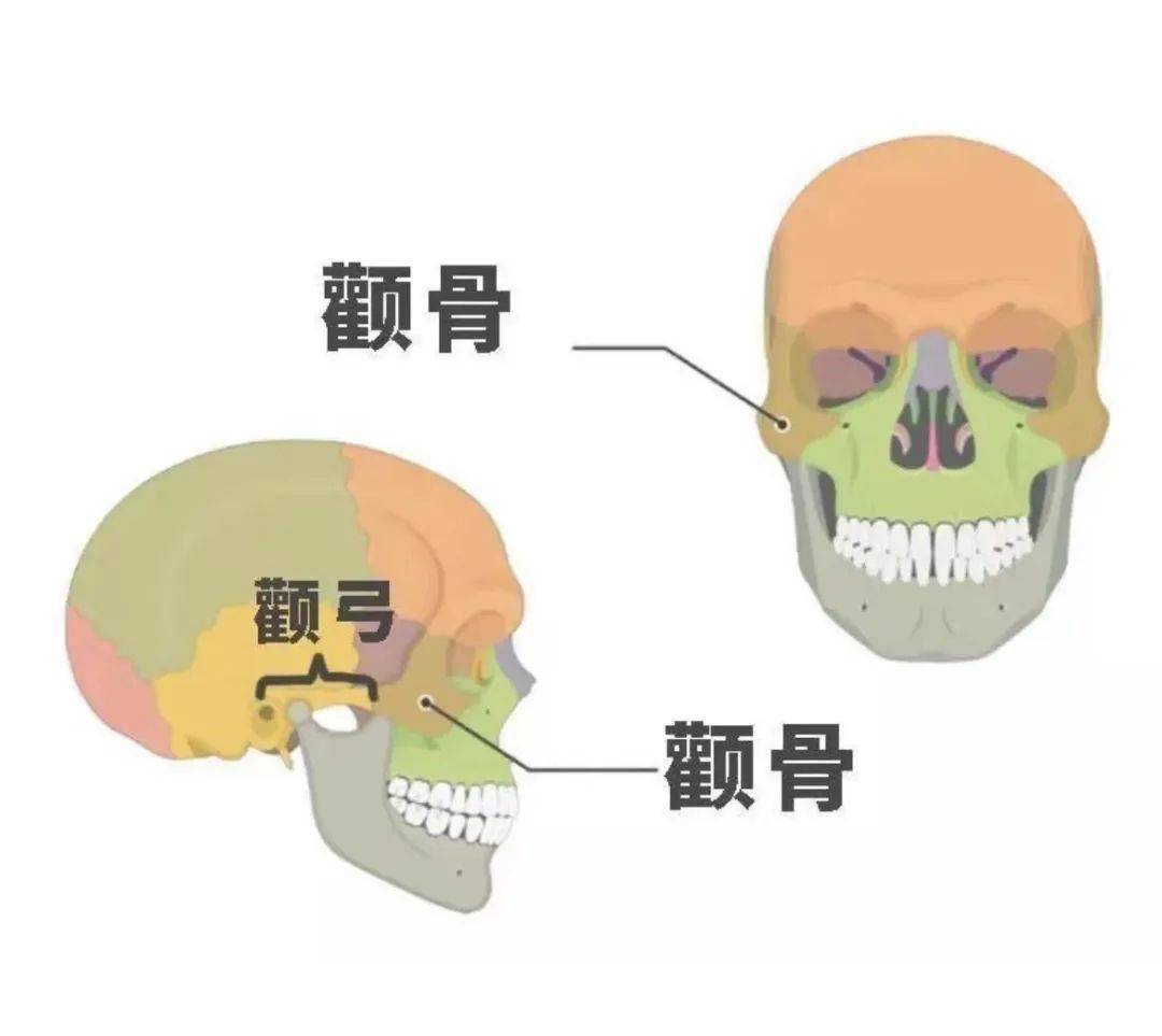 颧骨你明明才20出头，为什么就这么显老？