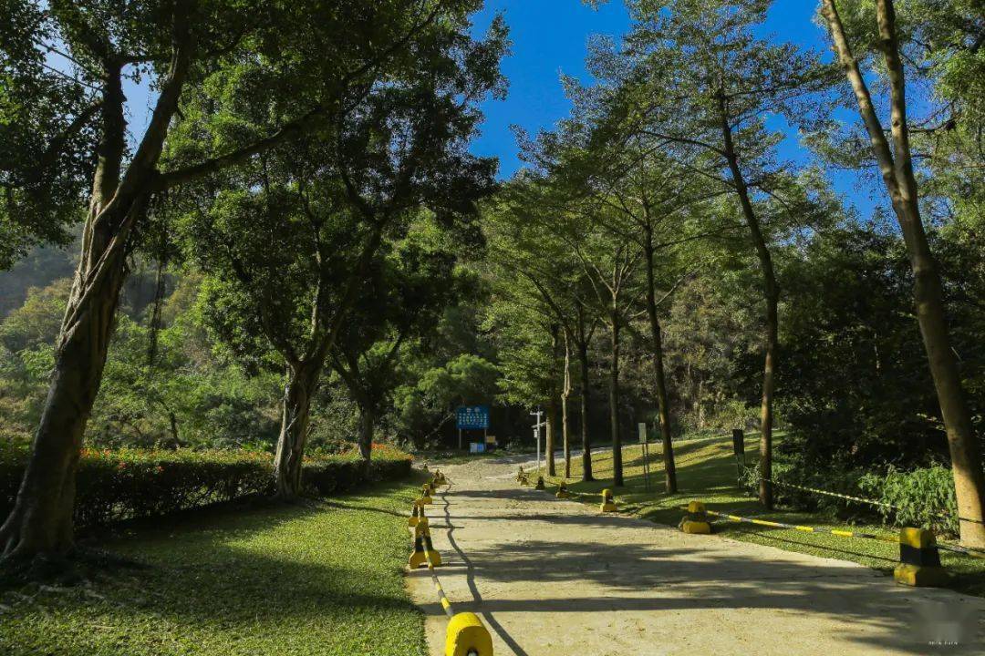 围岭公园位于罗湖区布心片区,规划总面积约87.034公顷.