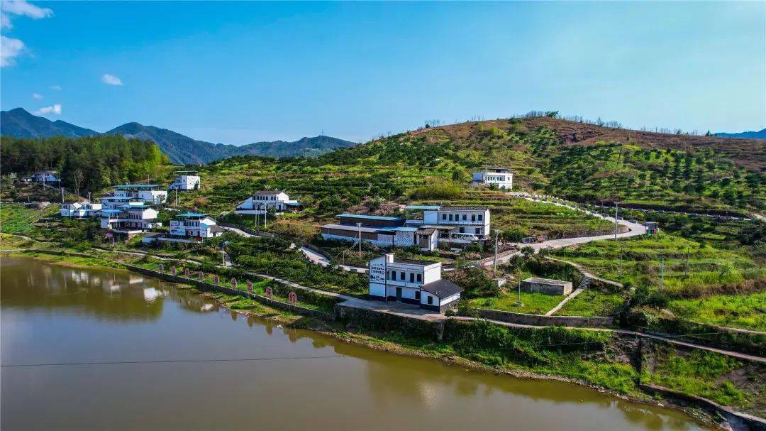 提能升级大发展丨高阳镇深入实施3331战略全力打造两园一区一节点