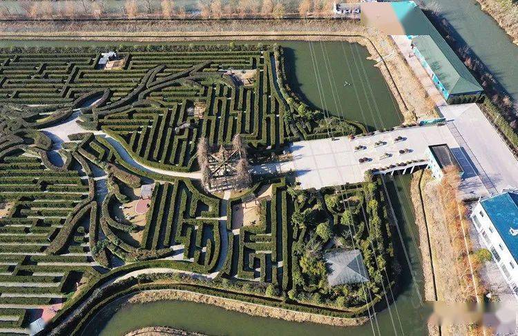 盐城旅游年卡 大丰梦幻迷宫_墙壁_造型_同心圆