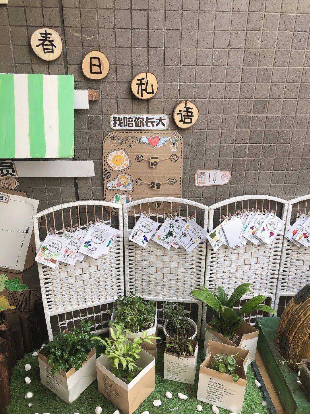 幼儿园春季植物角环创_自然_赛几_土里