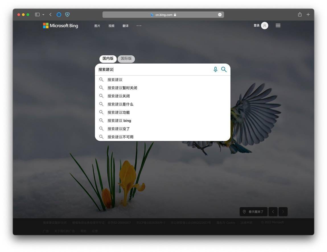 功能|微软 Bing 必应在中国内地“搜索建议”功能已恢复