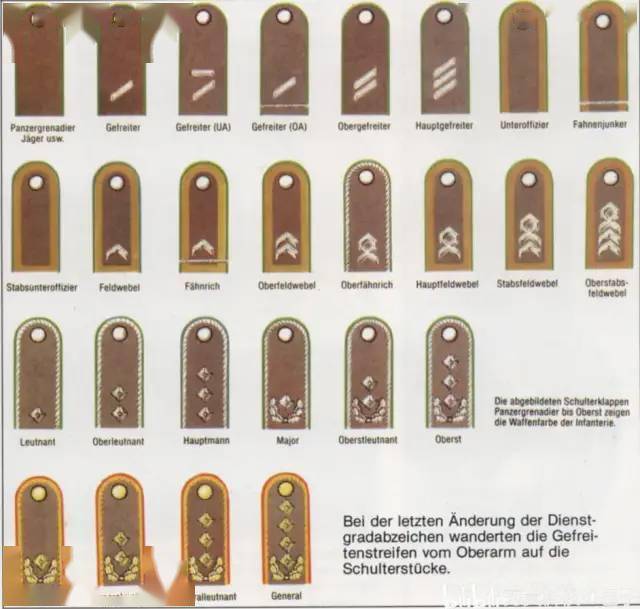 德国的军衔等级及标志图片