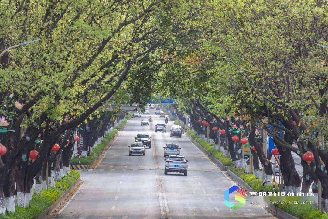 高明街坊的独家记忆要从沧江路说起