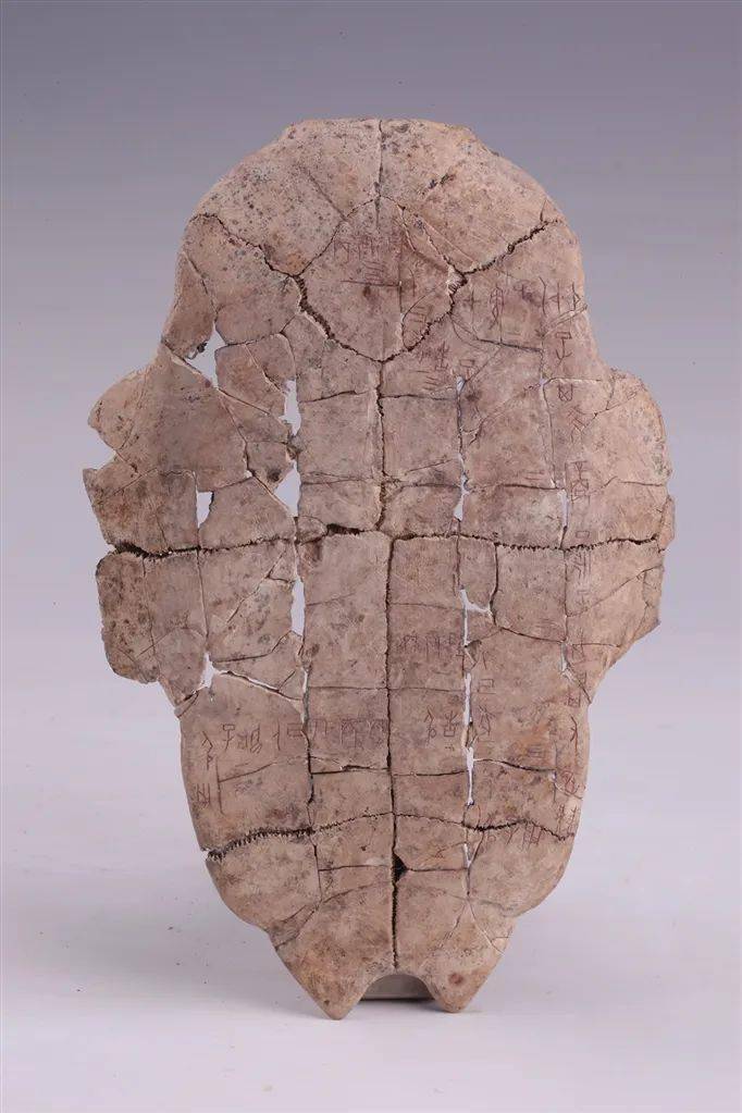 真正奠定甲骨学基础的是古文字学家罗振玉与国学大师王国维.