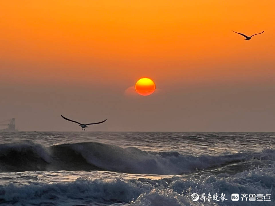 好景山东海天一色飞鸟迎朝霞情报员记录烟台海边的绝美日出