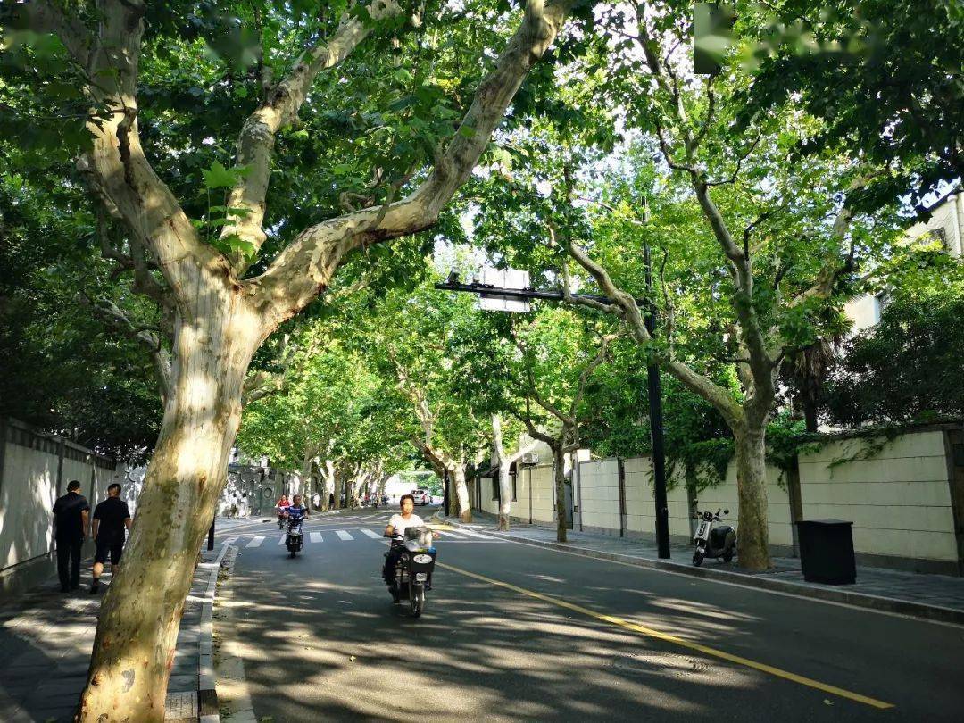 上海· 日常的味道 | 200个上海城市素颜场景_生活_街道_空间