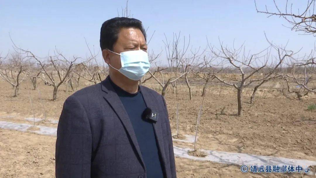 靖远三滩防疫春耕两不误苹果产业势头盛