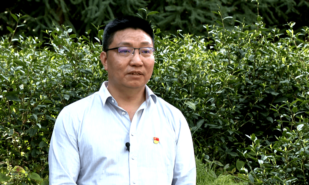 镇雄罗坎镇昔日荒山变茶山产业旺村民富上篇