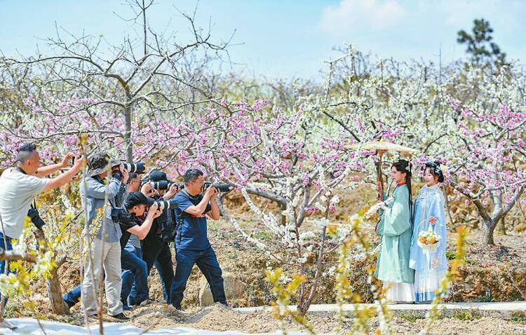 影像|春林初盛 春山可望 川观客定格花开蜀地的灿烂