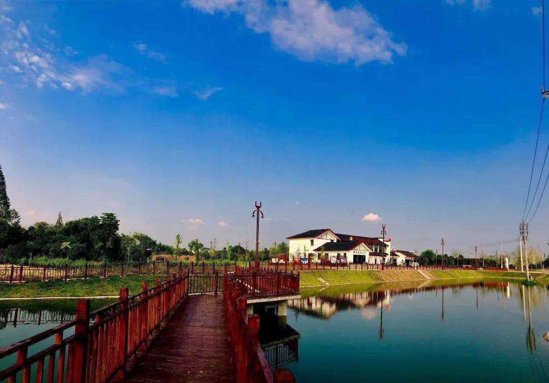 无偿献血真情在传递能量播种爱记无偿献血最美爱心行政村松园村