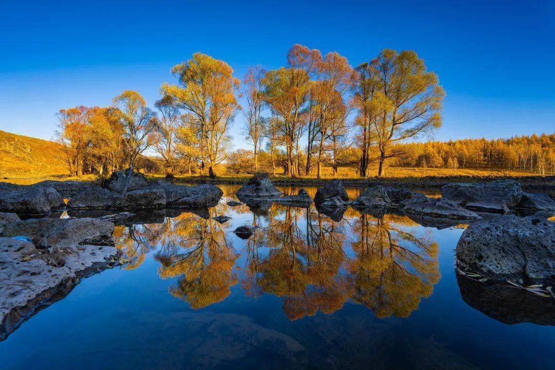 尼克尔俱乐部笔记和尼康z系列微单一起追寻万物之美