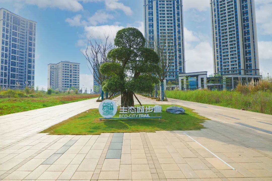这条步道又漂亮又方便 重庆两江新区悦来生态城步道投用