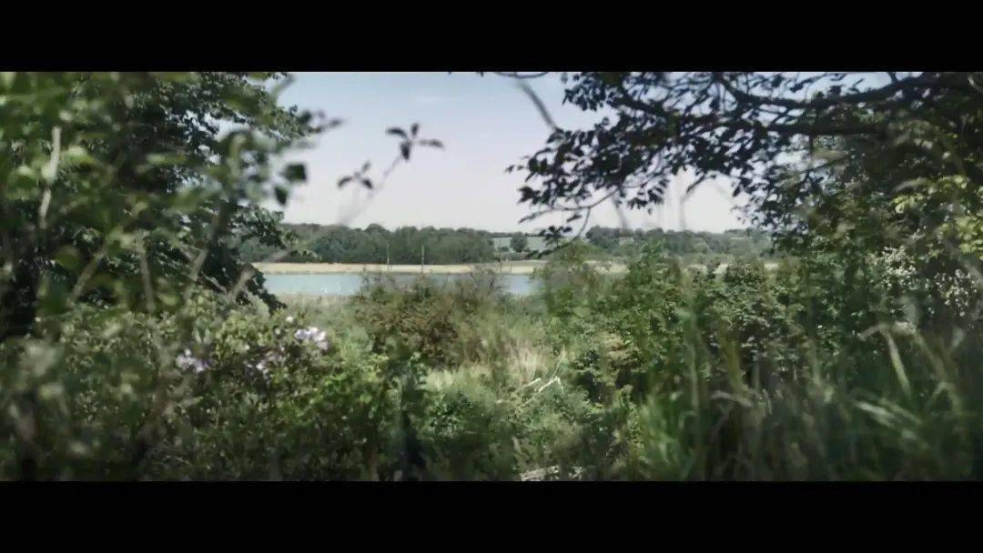 動畫|史上第一部，入圍這三項奧斯卡的“動畫紀錄片”卻顆粒無收