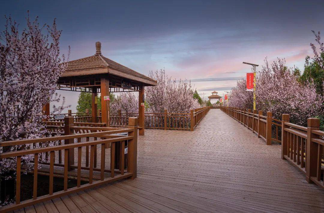 春日相约潼关岳渎公园我们不见不散