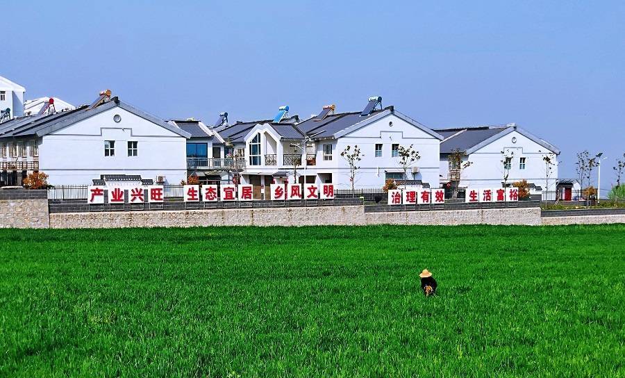 陕西西安高质量巩固拓展脱贫成果开出乡村科学致富良方