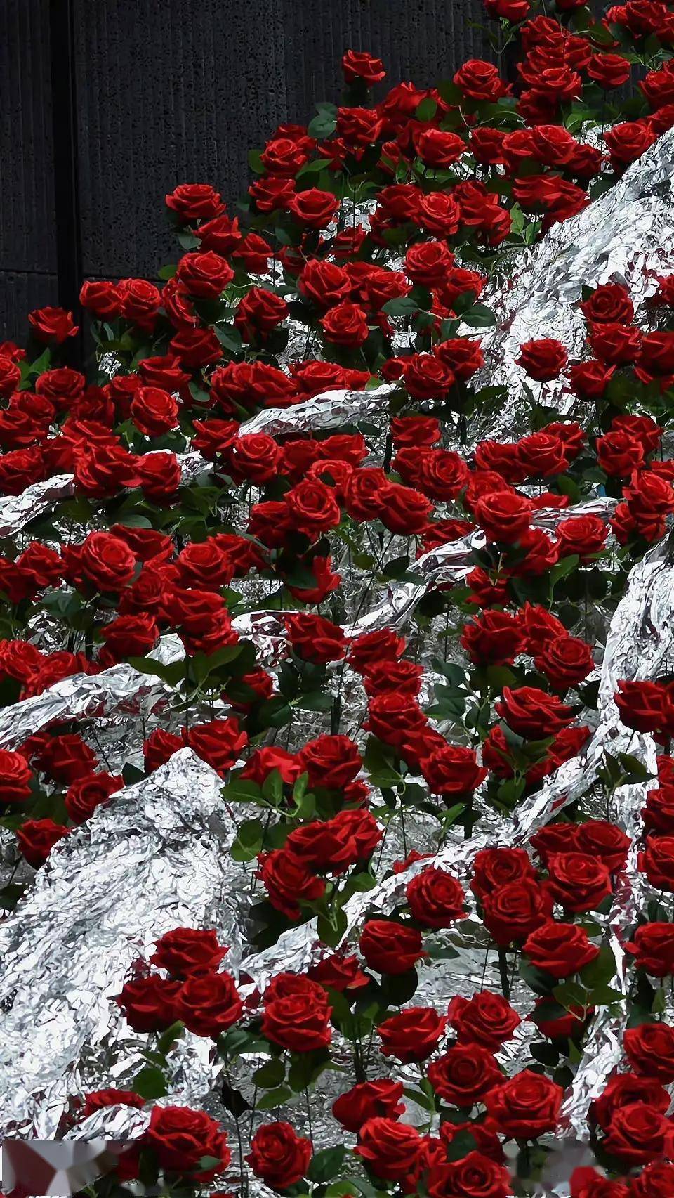 好看的壁纸你喜欢吗_壁纸