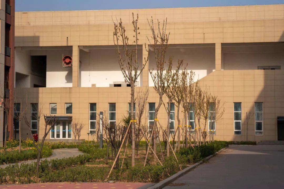 广宗一中校园春景"大片"来袭,你最爱哪一张?_鲜花_疫情_阳光