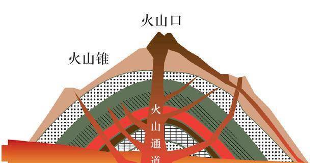 由火山口,岩浆通道和火山锥组成3.构造2.分布主要是板块运动.