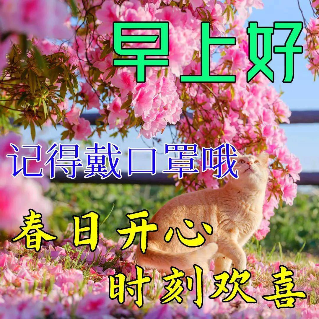 3月30日早上好祝福语图片大全问候动态表情图片大全