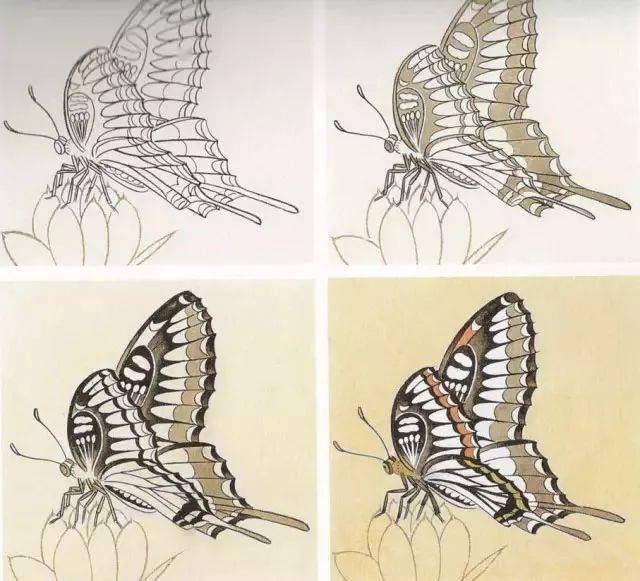 14种工笔蝴蝶的设色步骤图解说明_芥子园_画谱_mm