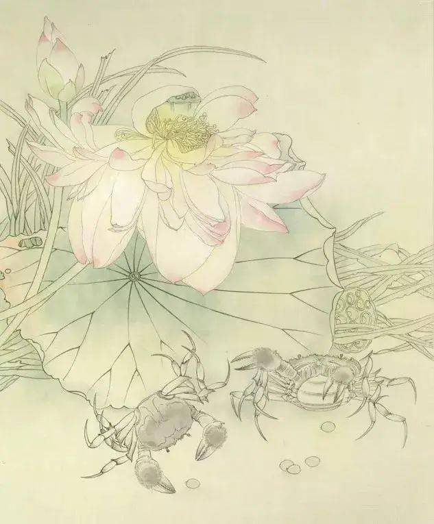 工笔画荷花和谐图图文步骤详解