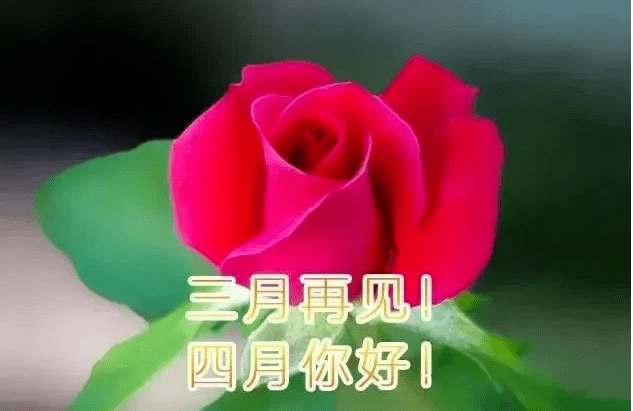 三月再见四月你好最美人间四月天
