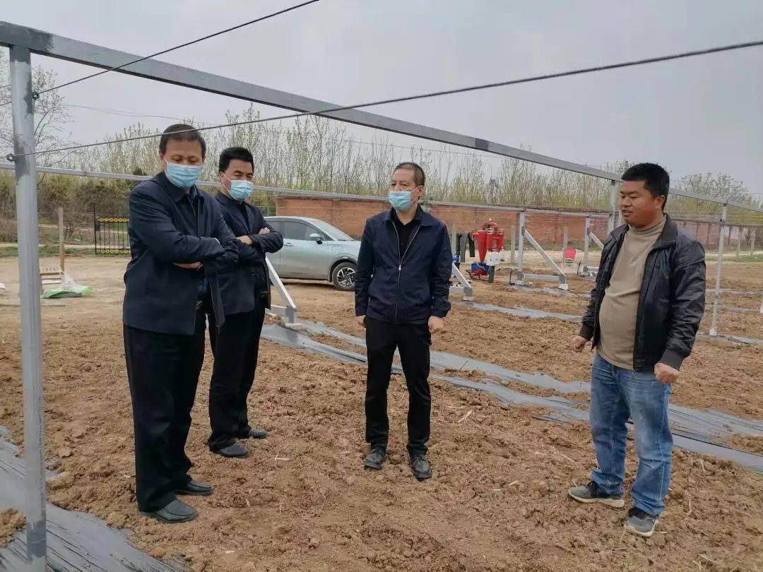 县政府副县长祁亚军调研村级集体经济发展情况