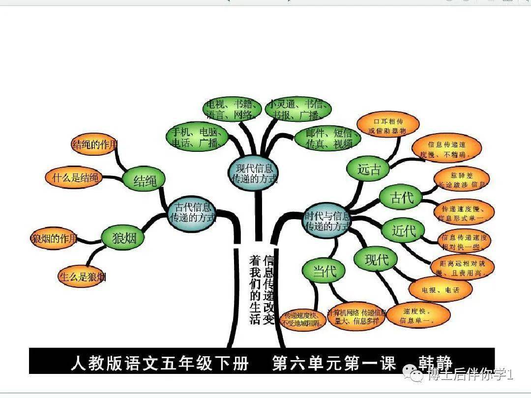 树干形状的导图图片