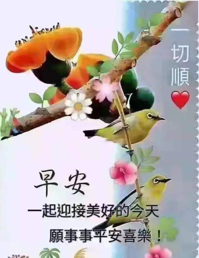 早上好梅花带字图片图片