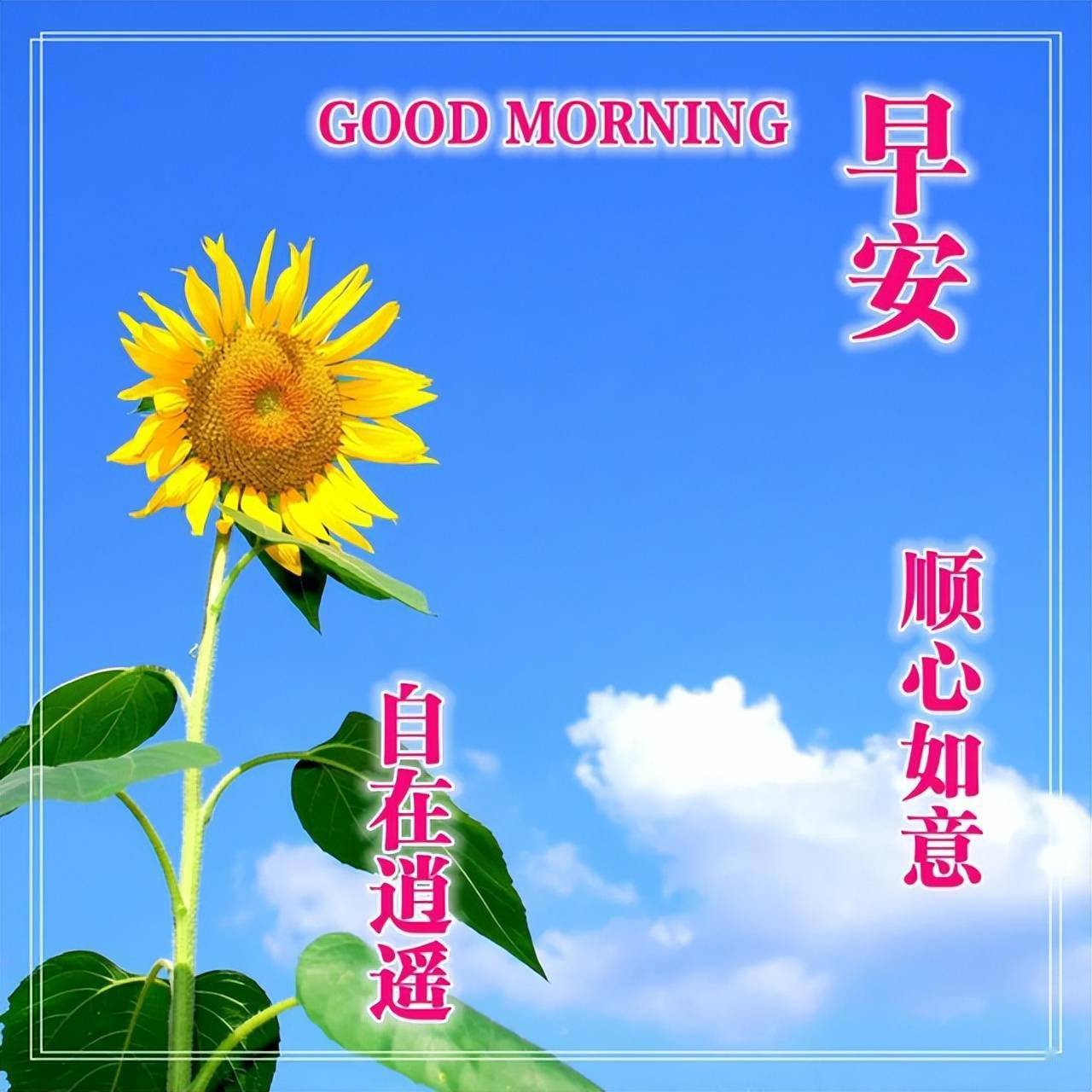 早安吉祥请接受我的祝福让微笑爬上脸庞早晨好