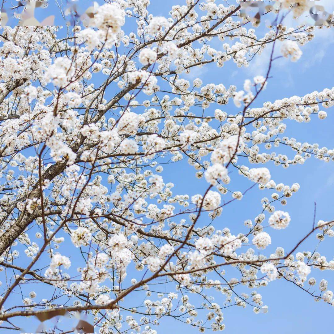 photography08shihai photography-end-bgm=王华 苏畅- 梦关于作者