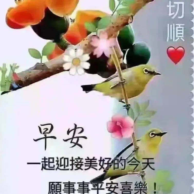早上好，祝福问候，一切安好！_共亨_梅花_短语