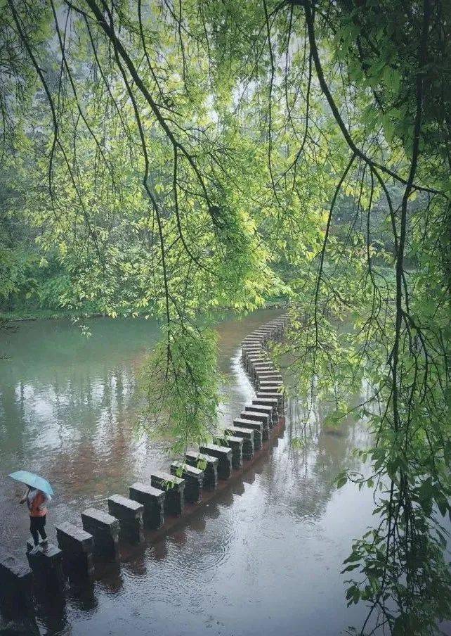 讓雨天告訴你,柳江古鎮到底有多美麗_細雨_老街_煙雨