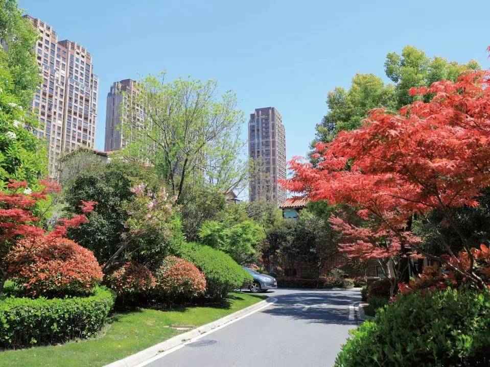 小区绿地率按建筑平均层数确定江苏省城市居住区和单位绿化标准今起