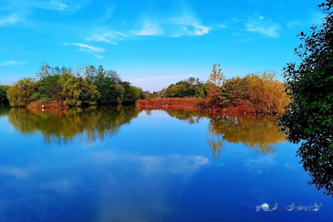 美得不像话无滤镜未美颜的素面朱湖