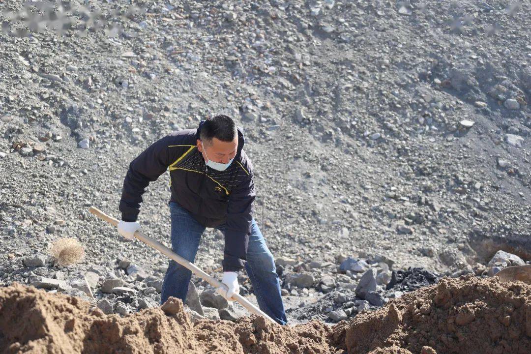 石嘴山市纪委监委撸起袖子加油干挥洒汗水添新绿