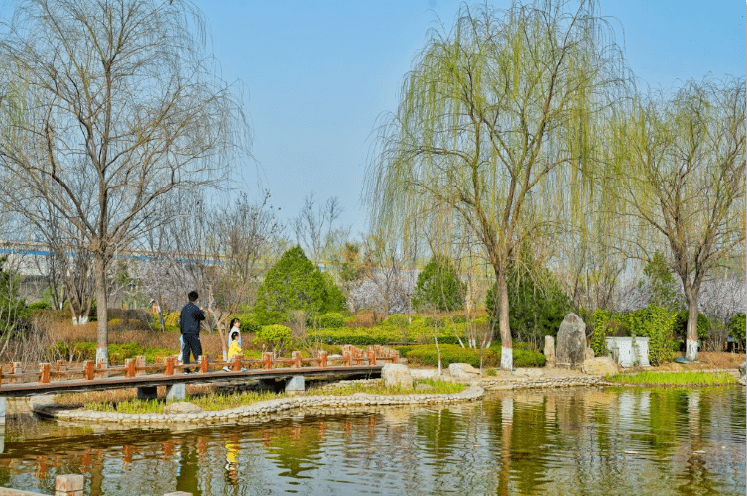 赵州美景——自强公园_摄影_素蕊_薛亮姚