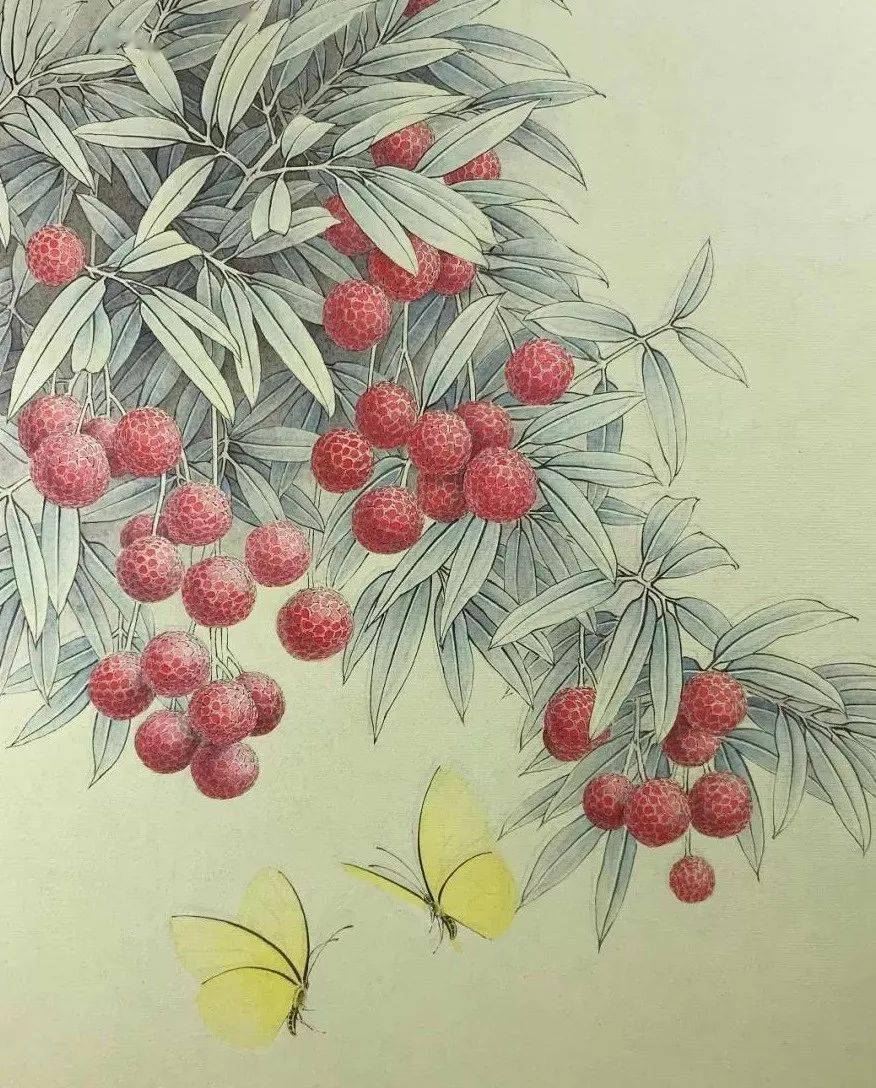 工笔画荔枝绘画步骤教程