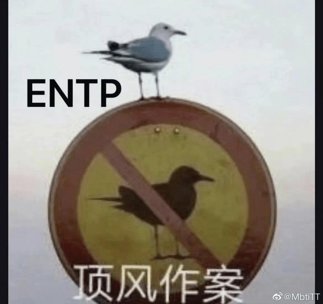 mbti人格测试真有你的