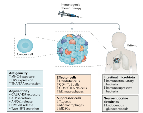 免疫治疗没反应让冷肿瘤变热肿瘤这8种方法要知道