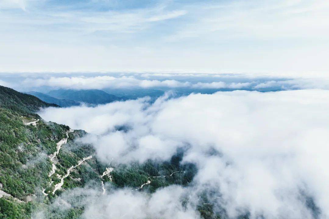 淡看云卷云舒吟风弄月,静听花开花谢明月山—云海