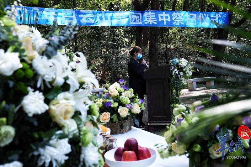 白云山思园:朵朵白菊寄哀思,缅怀骨灰还林逝者_殡葬_广州市_生态